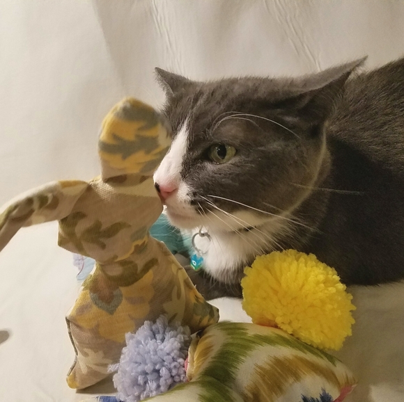 Catnip Floppy Ears Bunny, handmade cat toy - Picture 6 of 6